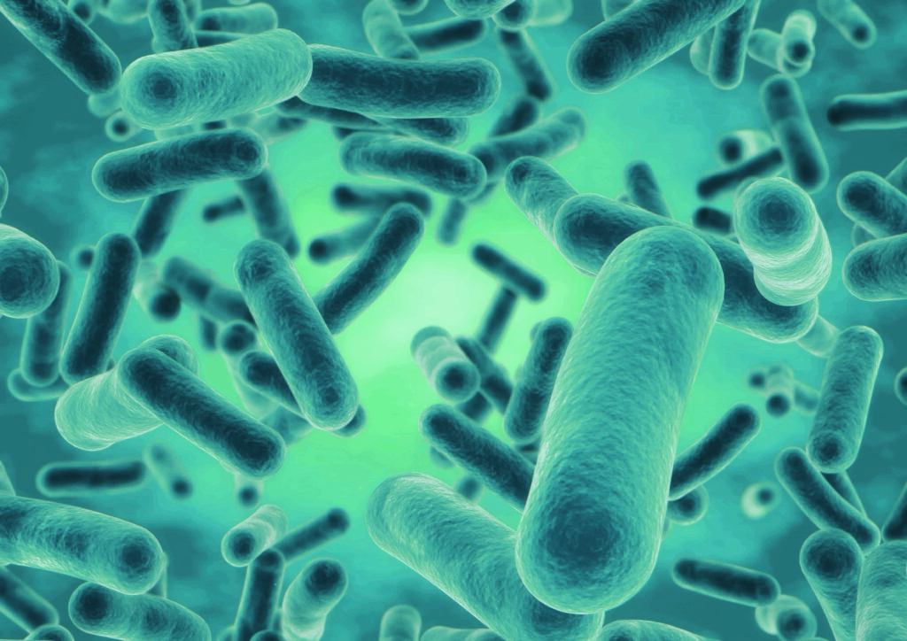 I postbiotici (o microrganismi inattivati) cosa sono, i vantaggi