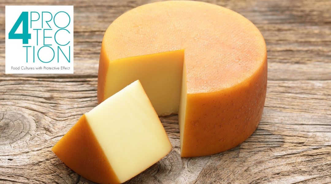 4 protection fermenti per la protezione alimentare sacco system contro il food waste